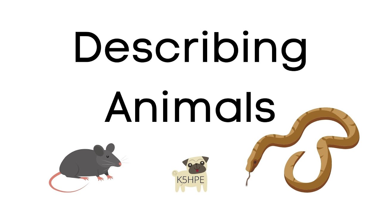 Describing Animals Sight Word Reader, Introducing Adjectives Emergent Reader Early Literacy Reading