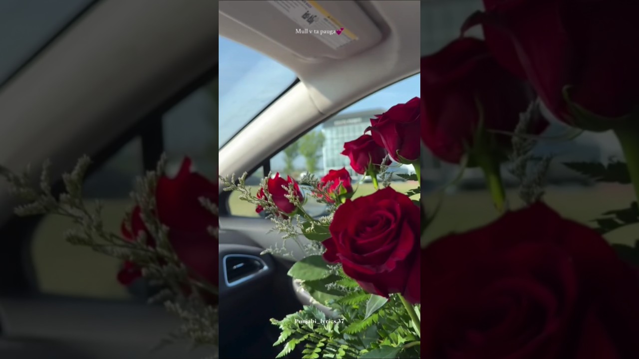 Blue Mountain || Cheema y || Punjabi music lyrics 