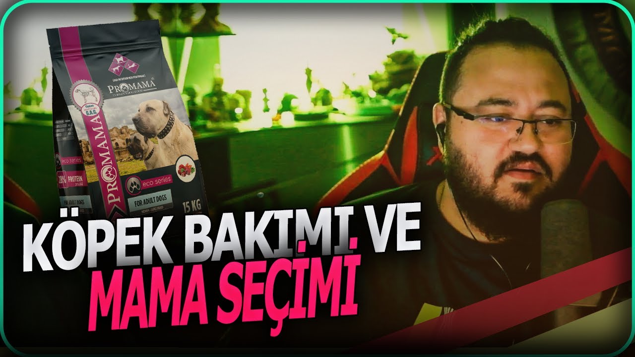 Jahrein Köpek Bakımı Ve Doğru Mama Seçimi