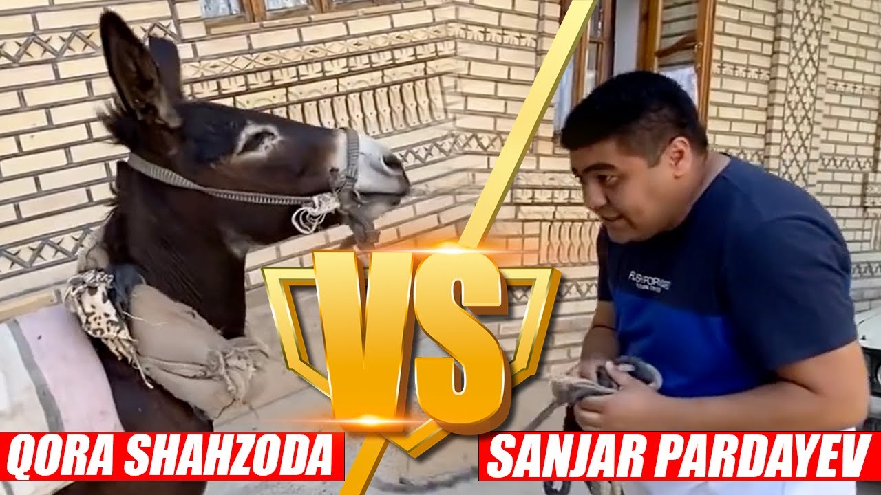BUGUN MANI GALIM 41-SON | Sanjar Pardayev vs Qora Shahzoda