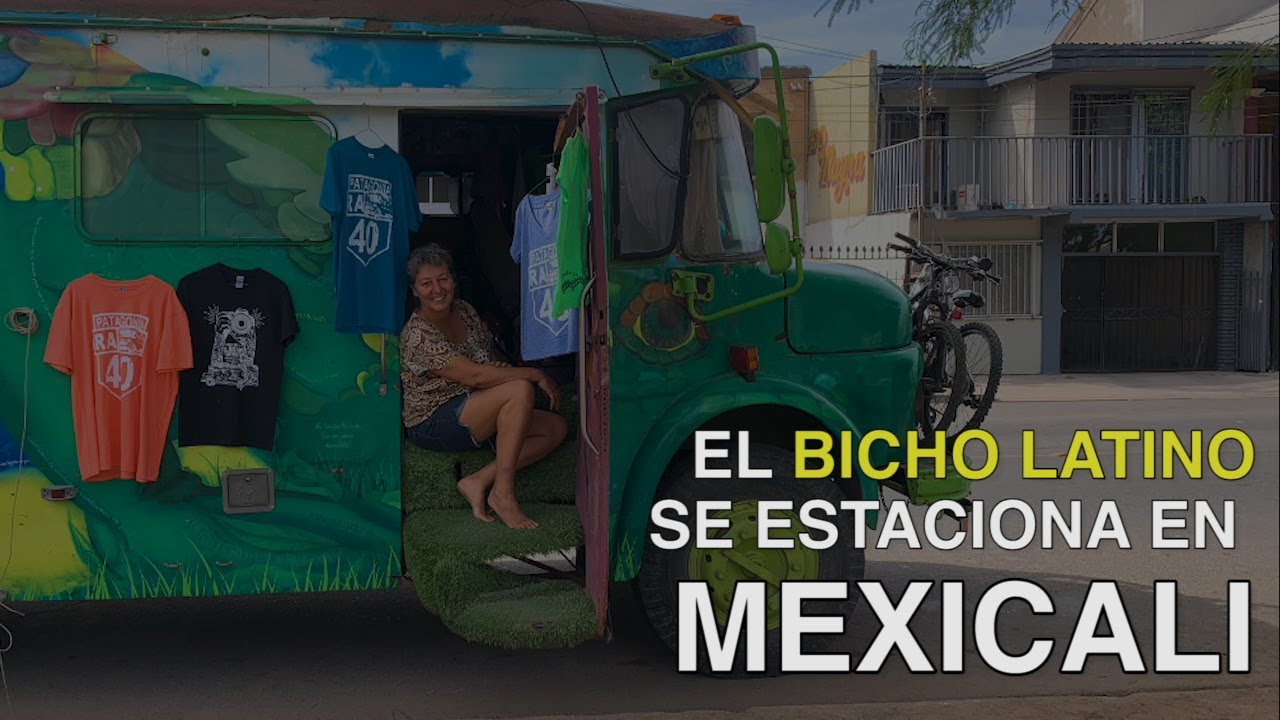 “El Bicho Latino” se estaciona en Mexicali, quiere llegar a Alaska | La Voz de la Frontera