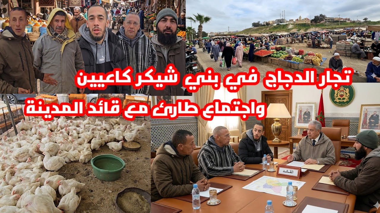 من سوق بني شيكر قرار عامل إقليم الناظور يصدم تجار الدجاج والبيبي وقائد بني شيكر أعطاهم الأمل