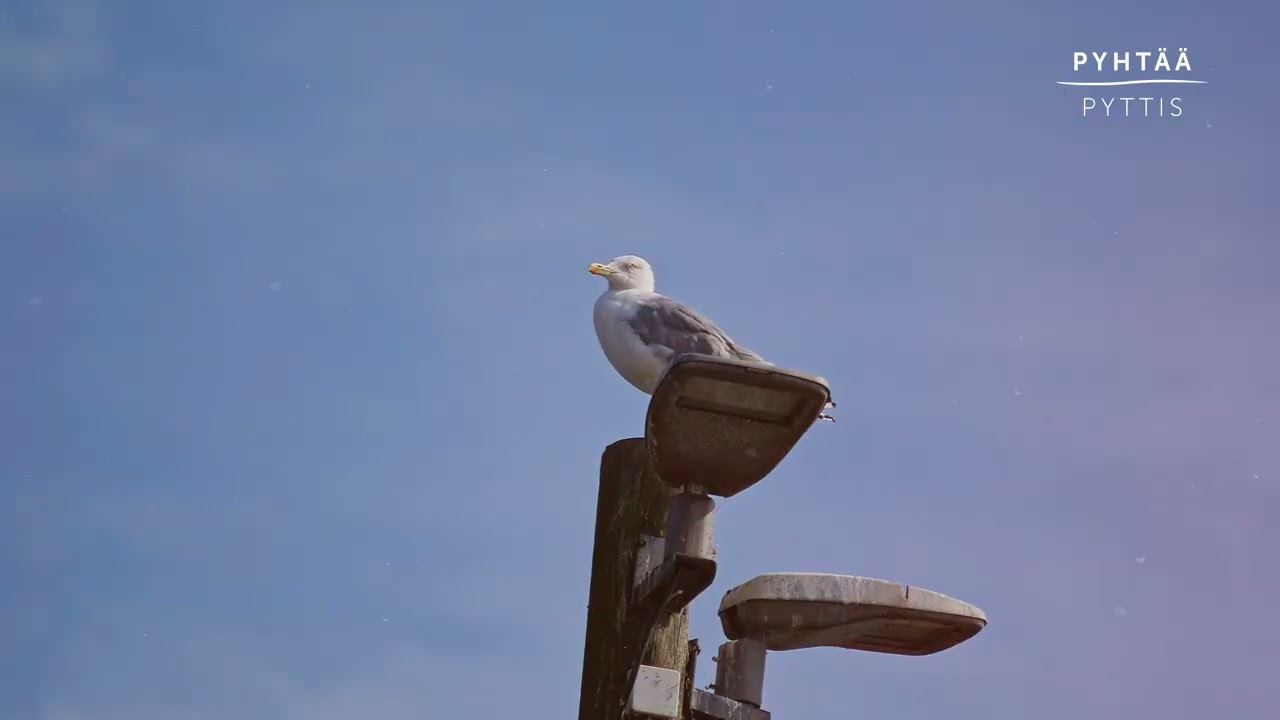 Parasta Pyhtäällä TOP10!