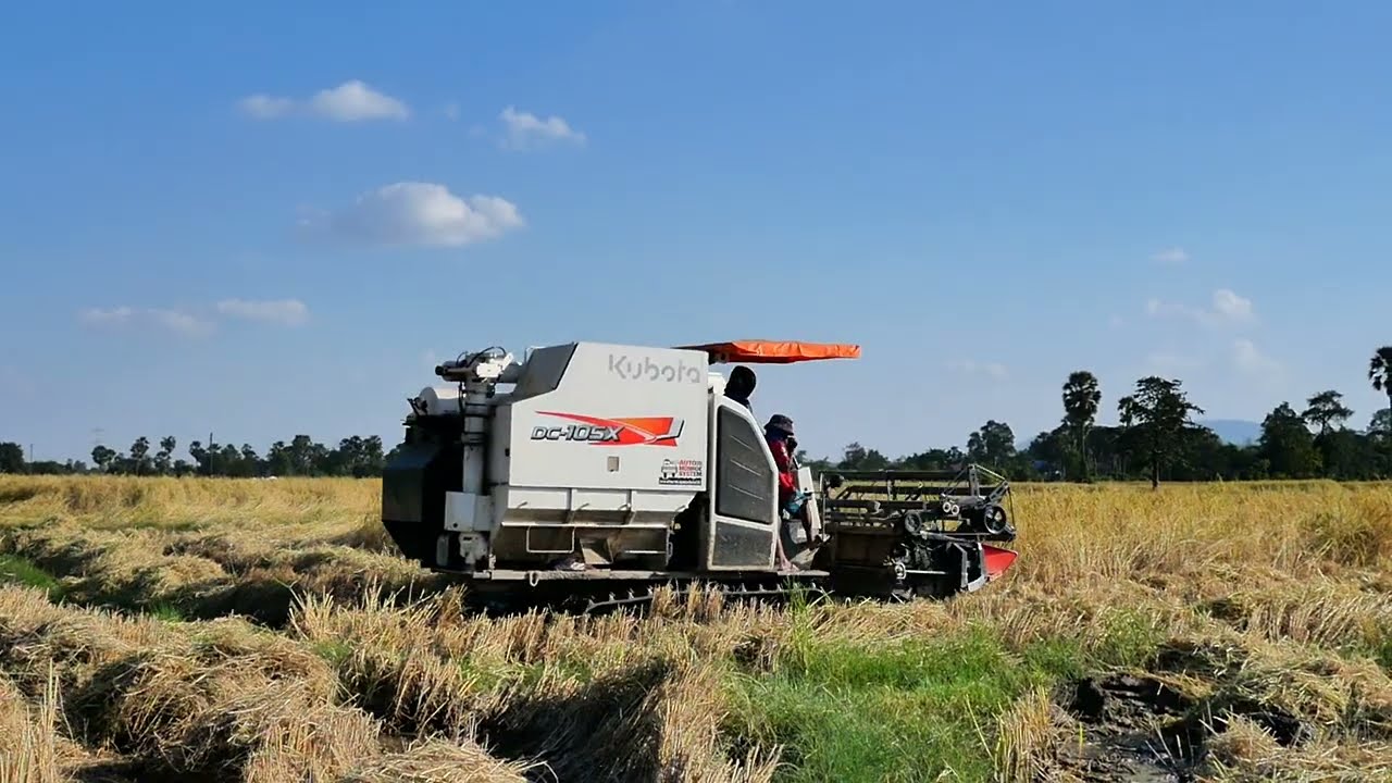 The best Kubota DC105X harvesting the rice 🌾 _nice Clip 