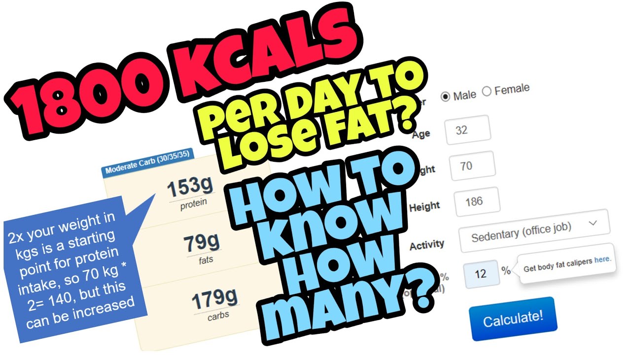 You MUST Know Calories Per Day To Lose Fat - Info Miniseries 2 | Vlog #12