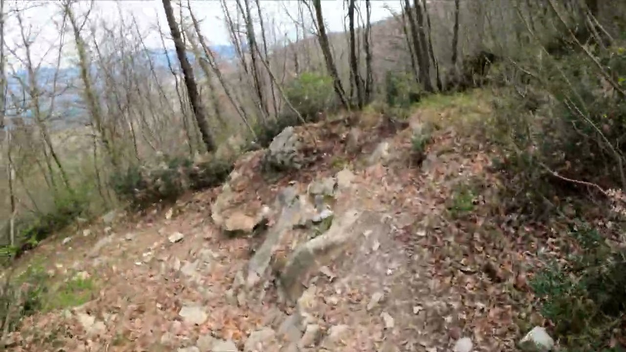 DISCESA SECCO MASS, CALVANA PRATO FIRENZE