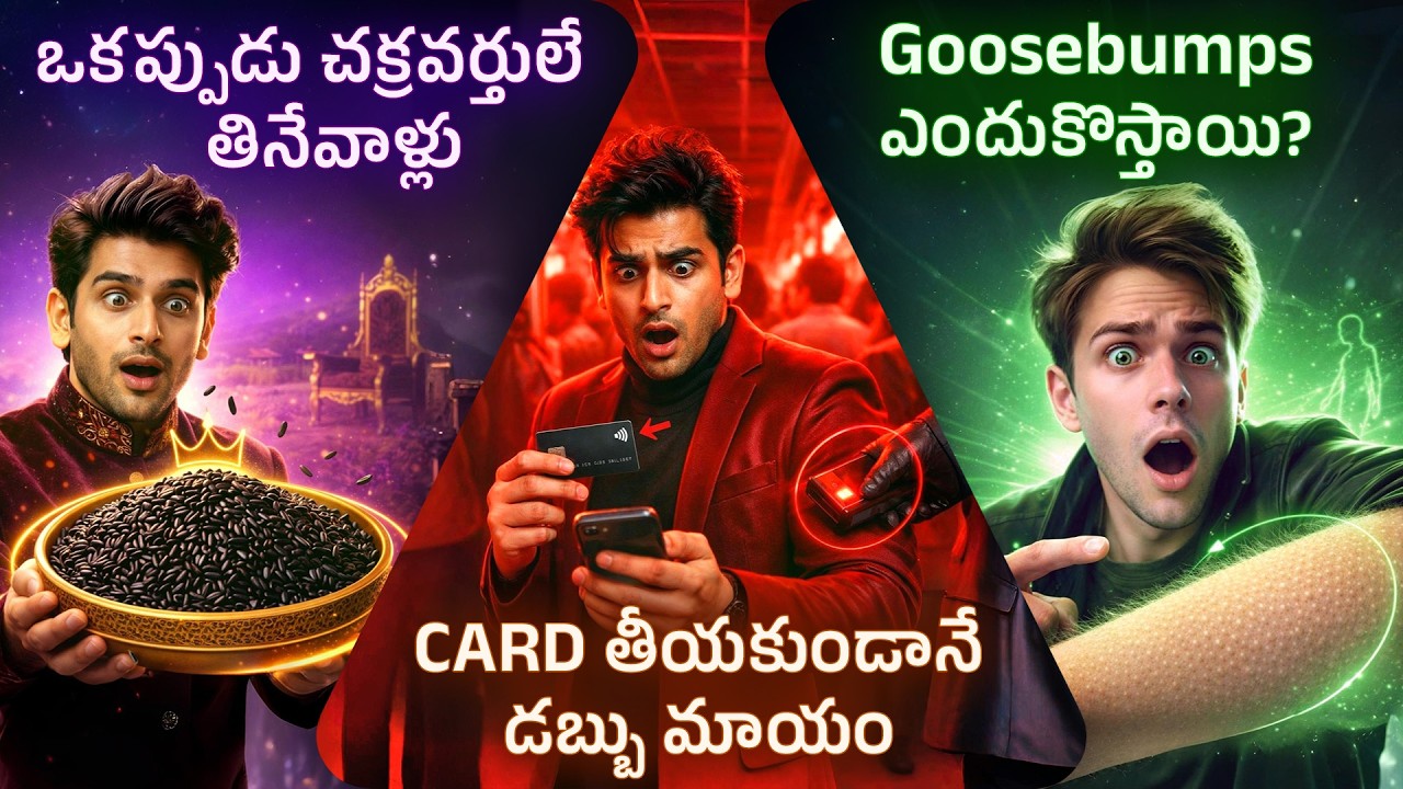 Maha Shivaratri Science 🧘 + Goosebumps Secret 🥶 + Dark Valentine Roots ❤️ & More | Telugu Facts
