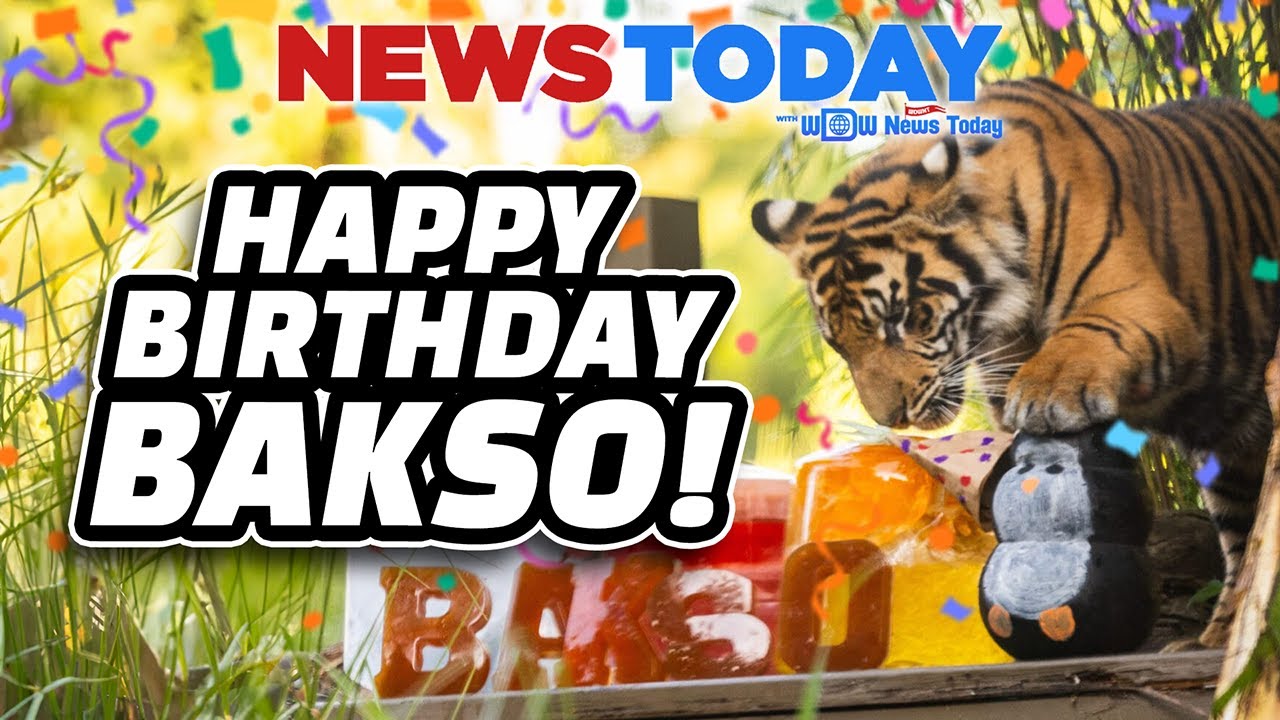 Disney After Hours Events Announced, Tiger Has Wild Birthday Party