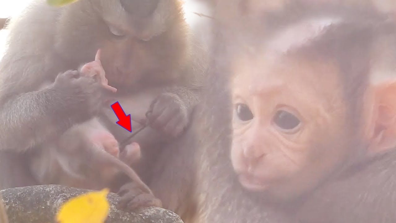 Just gave a newborn Julla very happy to see her baby