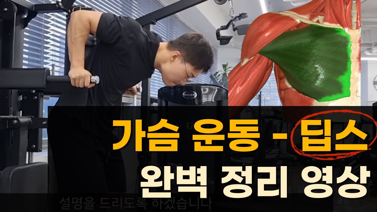[가슴운동] 딥스 완벽 정리 영상! 딥스를 잘 하고 싶다면 꼭 보세요!