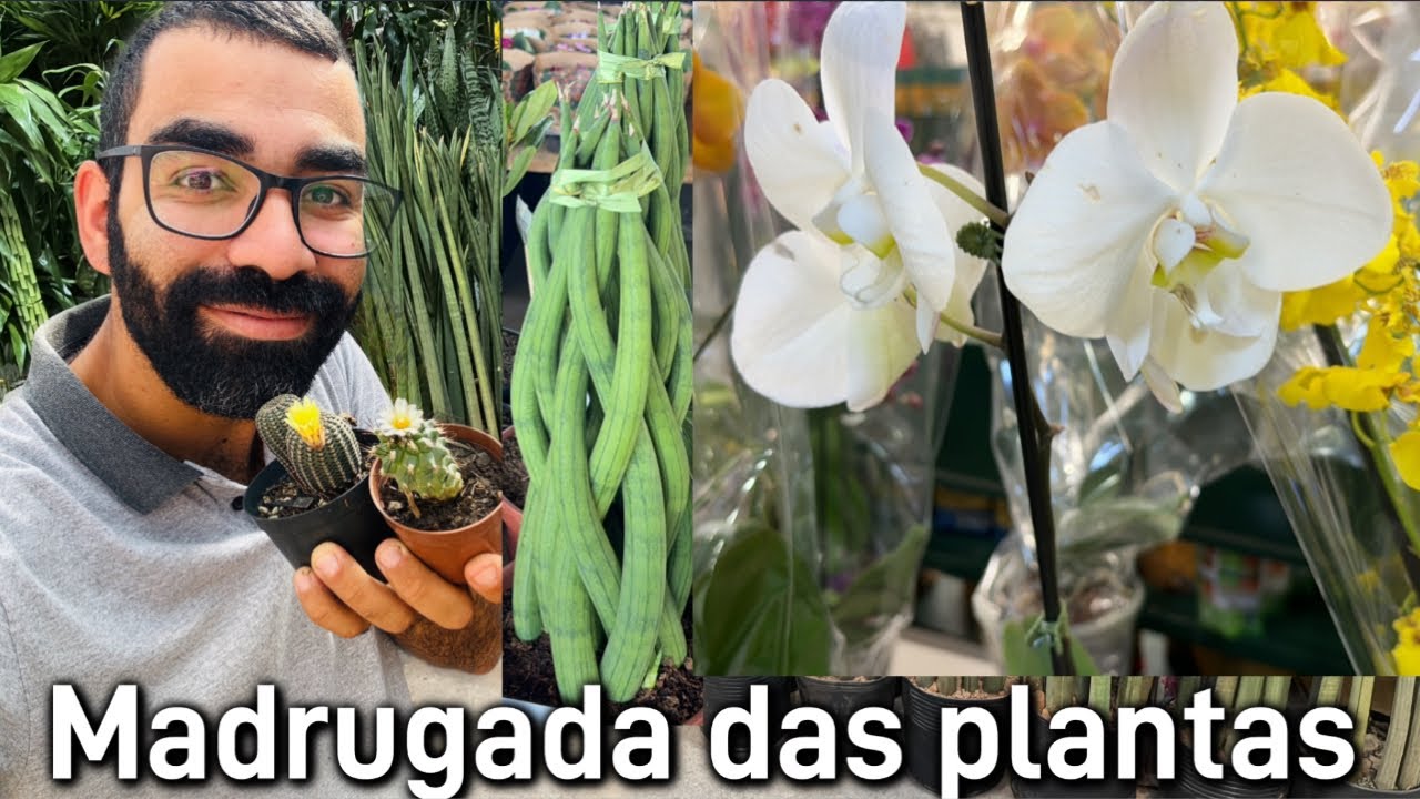 Feira das plantas - S&atilde;o Paulo