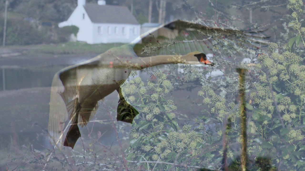 Averton Gifford, South Devon