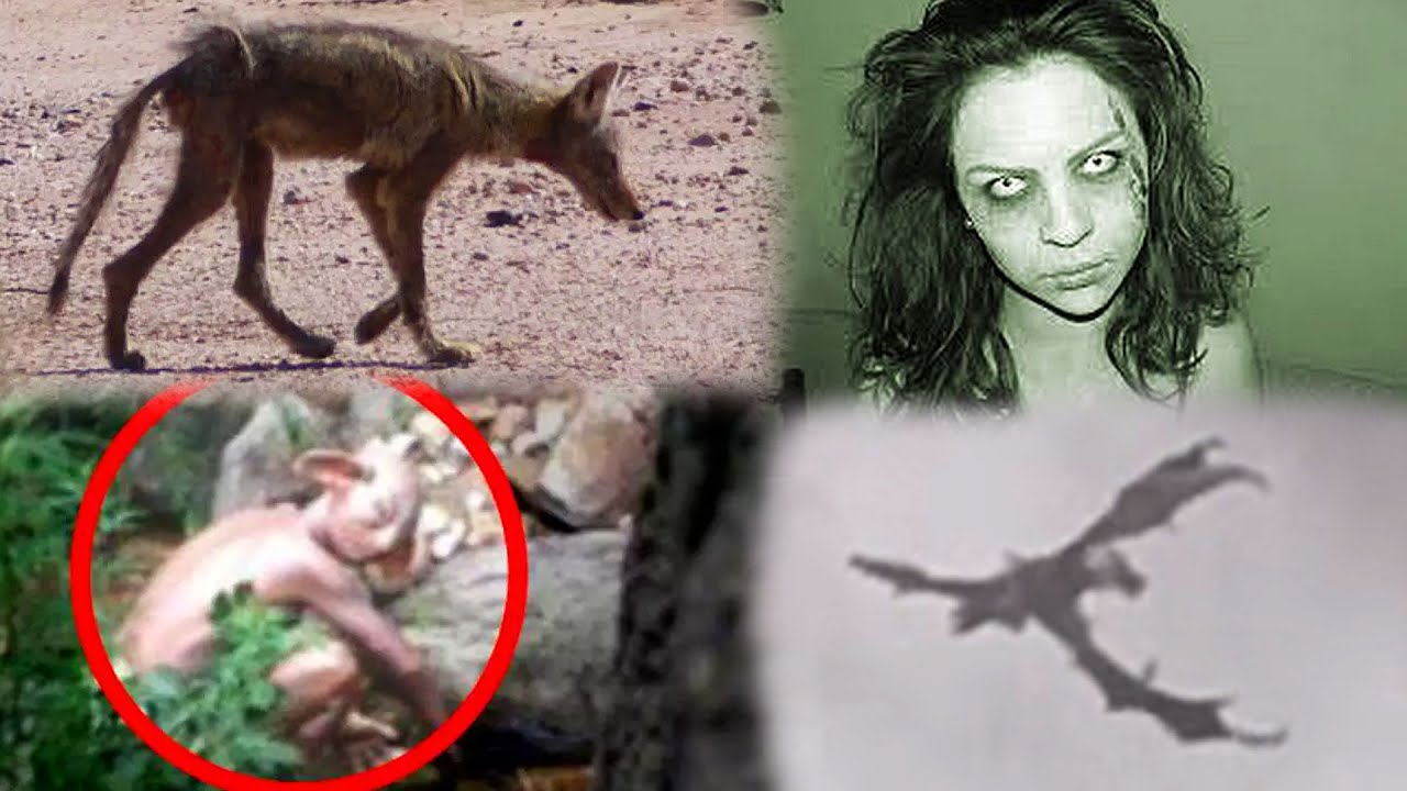Proving These Creatures REAL/FAKE! (Dragon, Goblin, Demon & Chupacabra!)