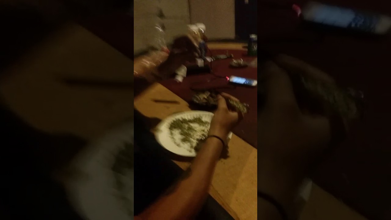 Dude rolls a blunt with 3 fingers😂😂😂