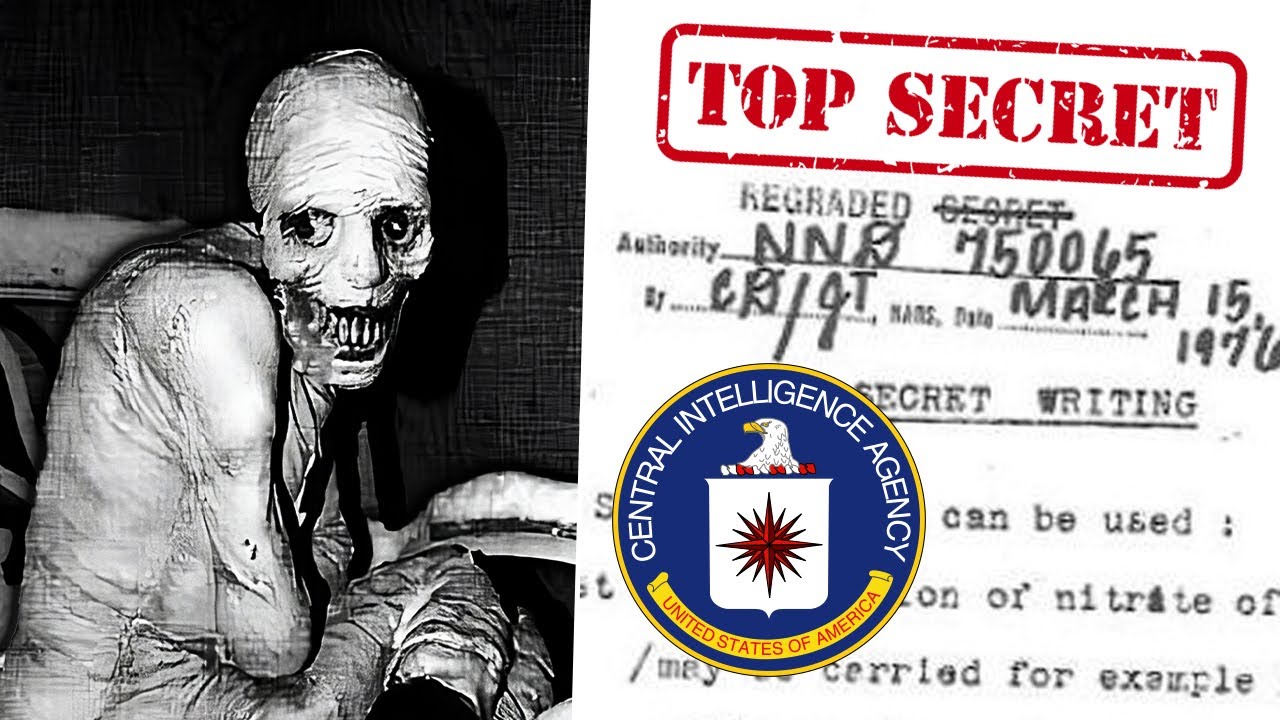 A CIA R&eacute;misztő Emberk&iacute;s&eacute;rletei