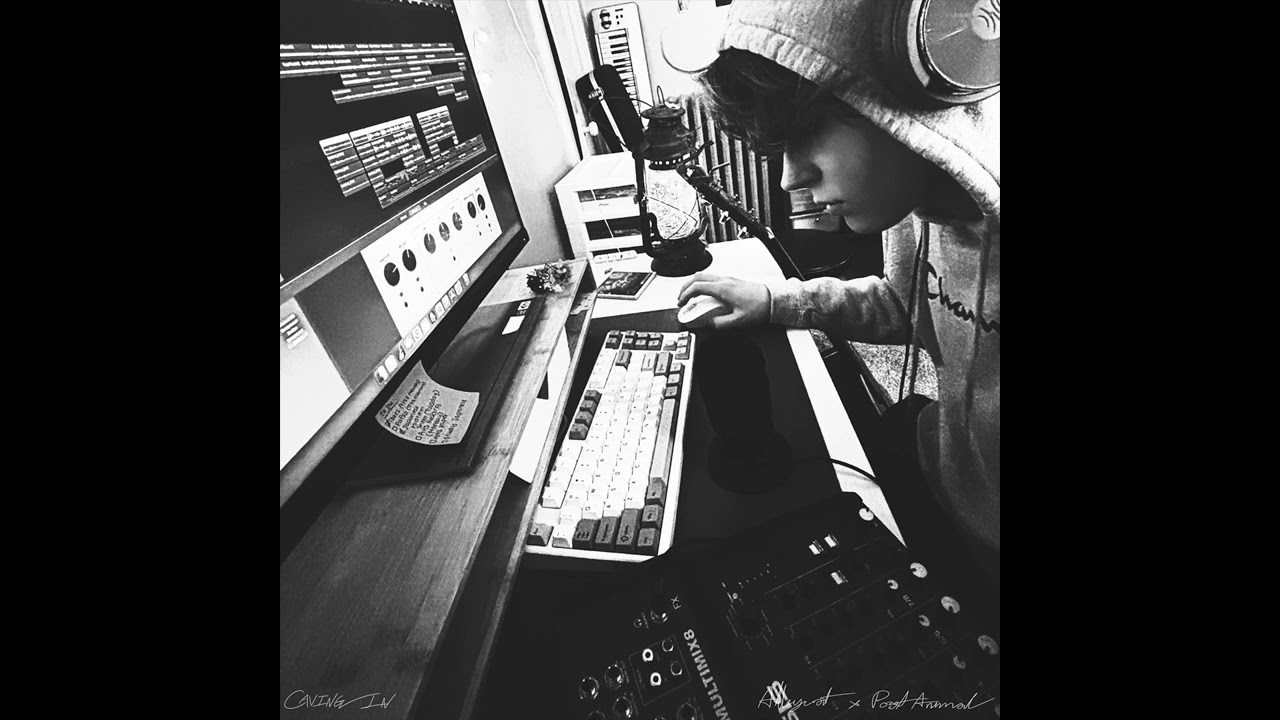 Caving In (Cover) - Alleycat x Post Animal
