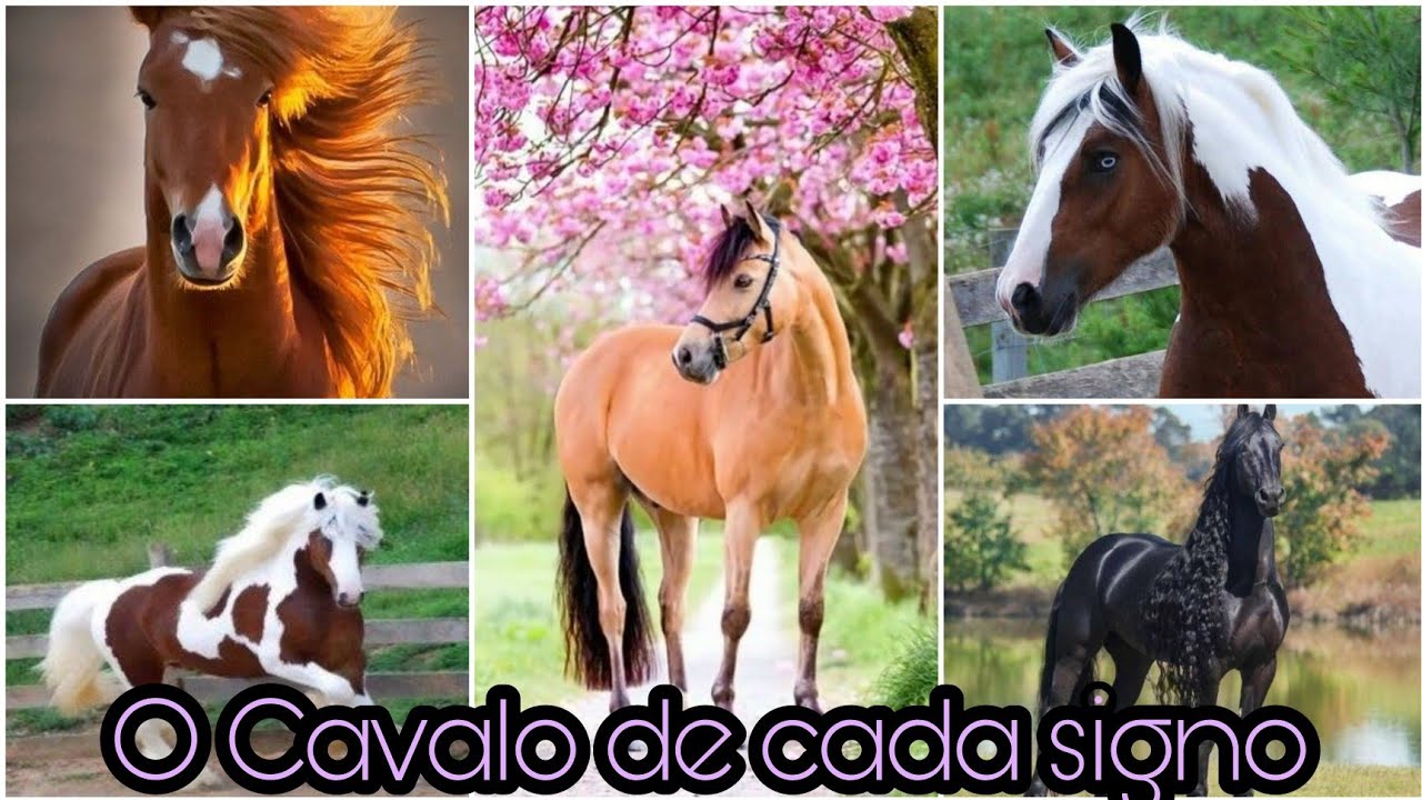 O CAVALO DE CADA SIGNO - MUNDO DOS SIGNOS