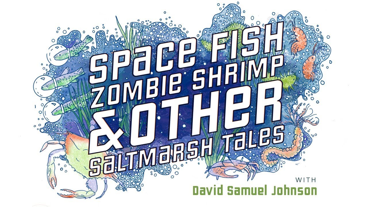 Space Fish, Zombie Shrimp and Other Saltmarsh Tales