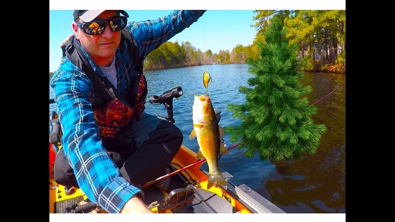 Spring Fishing In The Pine Barrens