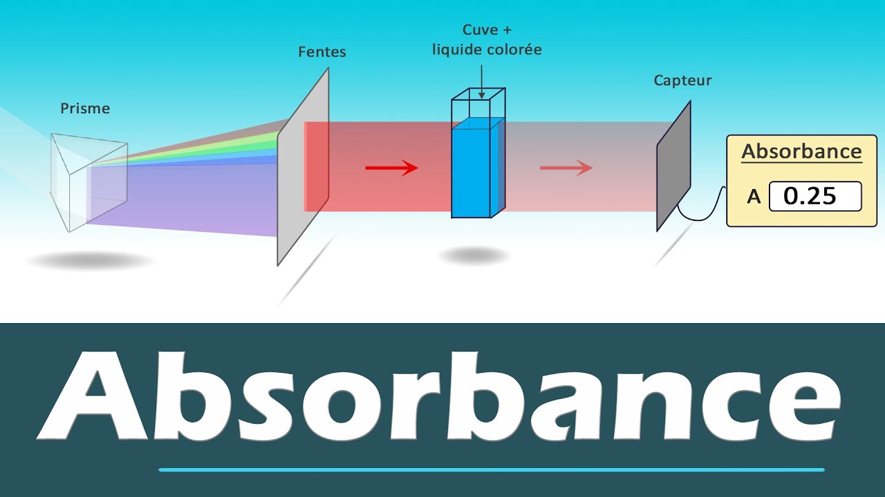 ABSORBANCE- Spectrophotom&egrave;tre - Comment s&eacute;lectionner la longueur d'onde de travail | Lyc&eacute;e | Chimie