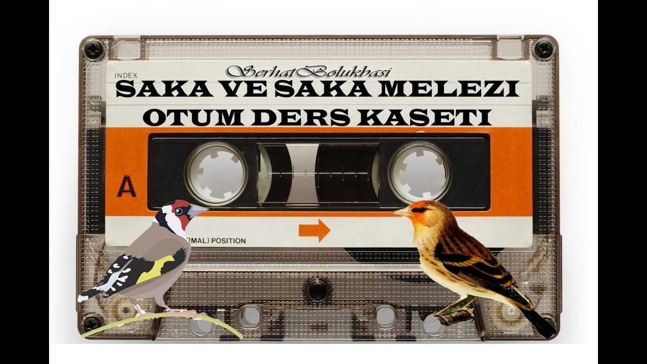 SAKA VE SAKA MELEZİ ÖTÜM DERS KASETİ