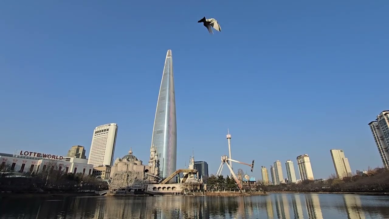 서울 낮 풍경 힐링 | 석촌호수 & 롯데월드타워 | 30분 멍때림 영상 Relaxing Daytime View