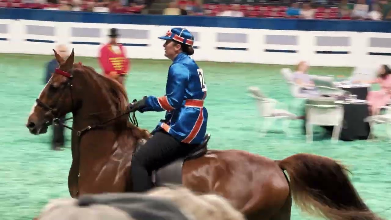 Sunday recap. 2025 Worlds Championship Horse Show