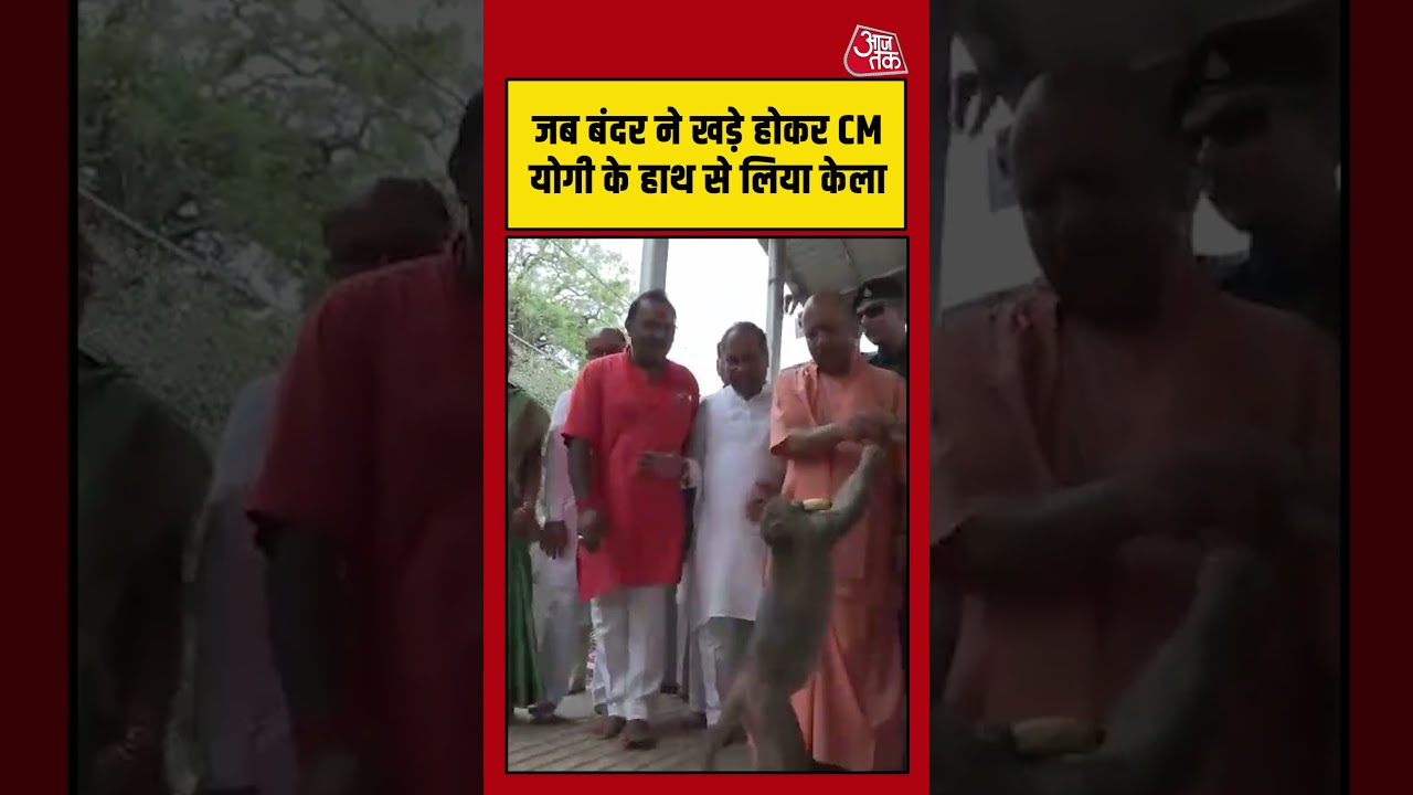 जब बंदर ने खड़े होकर CM Yogi के हाथ से लिया केला #aajtak #shorts #viral #viralvideo  #cmyogi