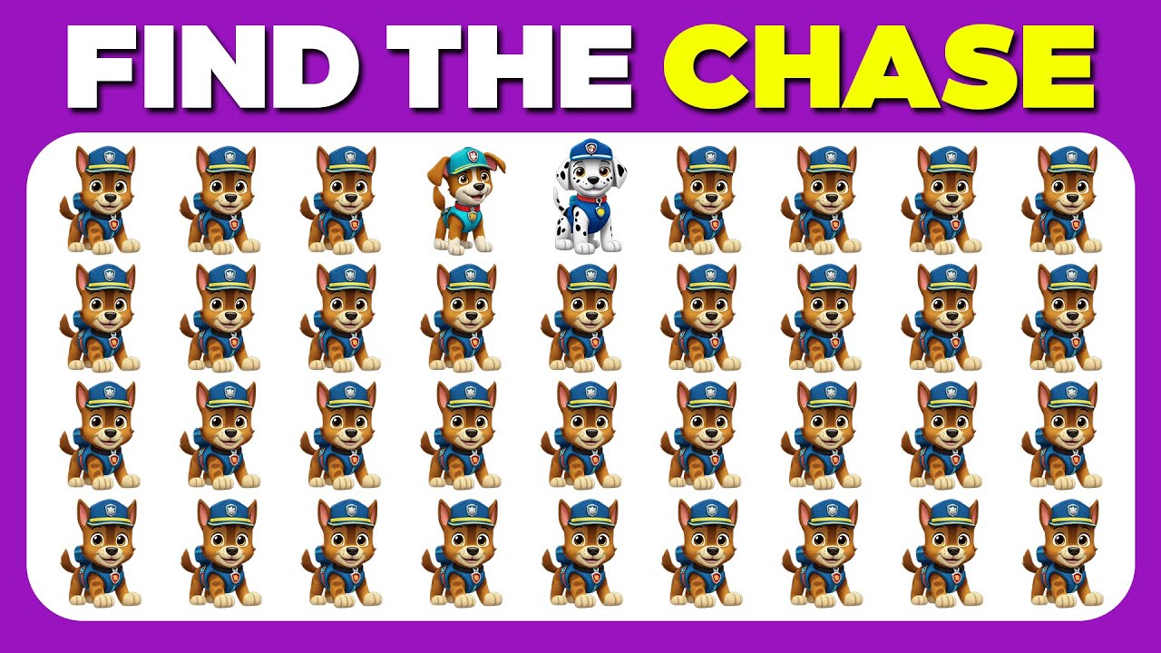 Find the ODD One Out - Chase Edition 🐶🔎🕹️ | Easy, Medium, Hard | GG Quiz