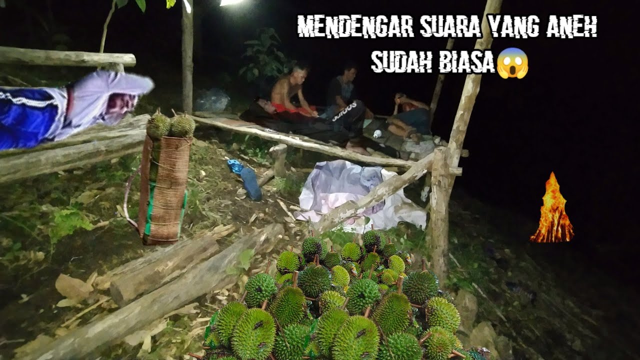BERMALAM DAN MASAK DIHUTAN KALIMANTAN SAMBIL BERBURU DURIAN #4 || CAMPING