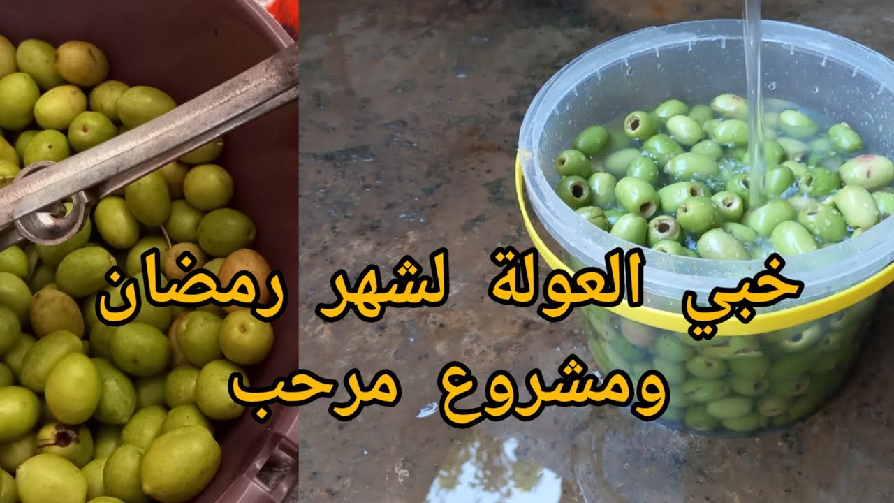 ترقيد زيتون المصانع بطريقة بسيطة فالمنزل بدون مواد حافظة و يعتبر من اكبر المشاريع المنزلية