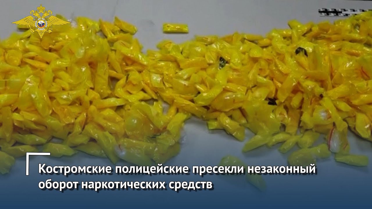 Костромские полицейские пресекли незаконный оборот наркотических средств