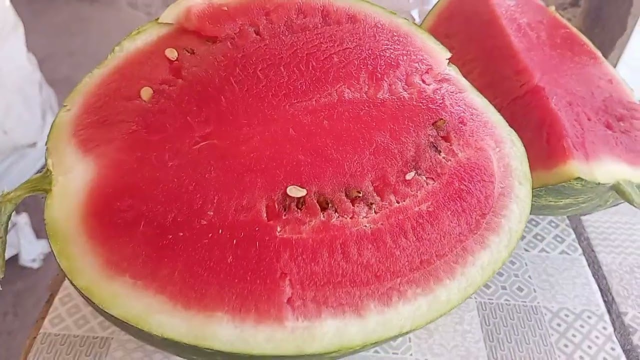 CONVIDO A TODOS A NÓS ACOMPANHAR NESSA  JORNADA DO SÍTIO DO  ZERO 🌳🌳🌽🍅🙏