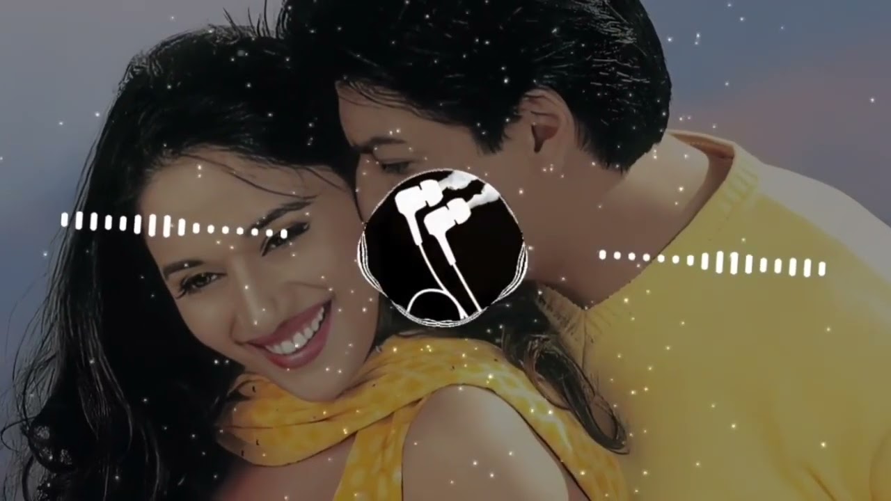 ❣️Hum Tumhare 💞Hain Tumhare Sanam | Jhankar❤️ | Anuradha P, Udit Narayan | Shahrukh K, Madhuri D