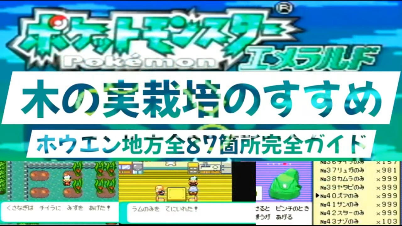 【ポケモンエメラルド解説】木の実栽培のすすめ　ホウエン地方全87箇所完全ガイド