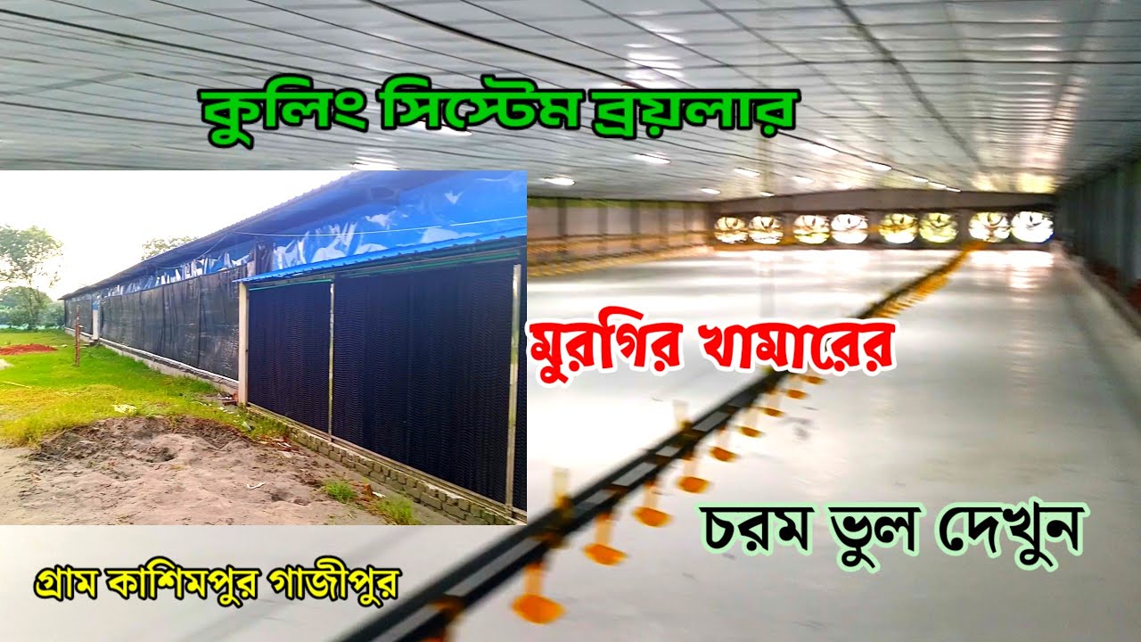 চরম ভুল কুলিং সিস্টেম ব্রয়লার খামার