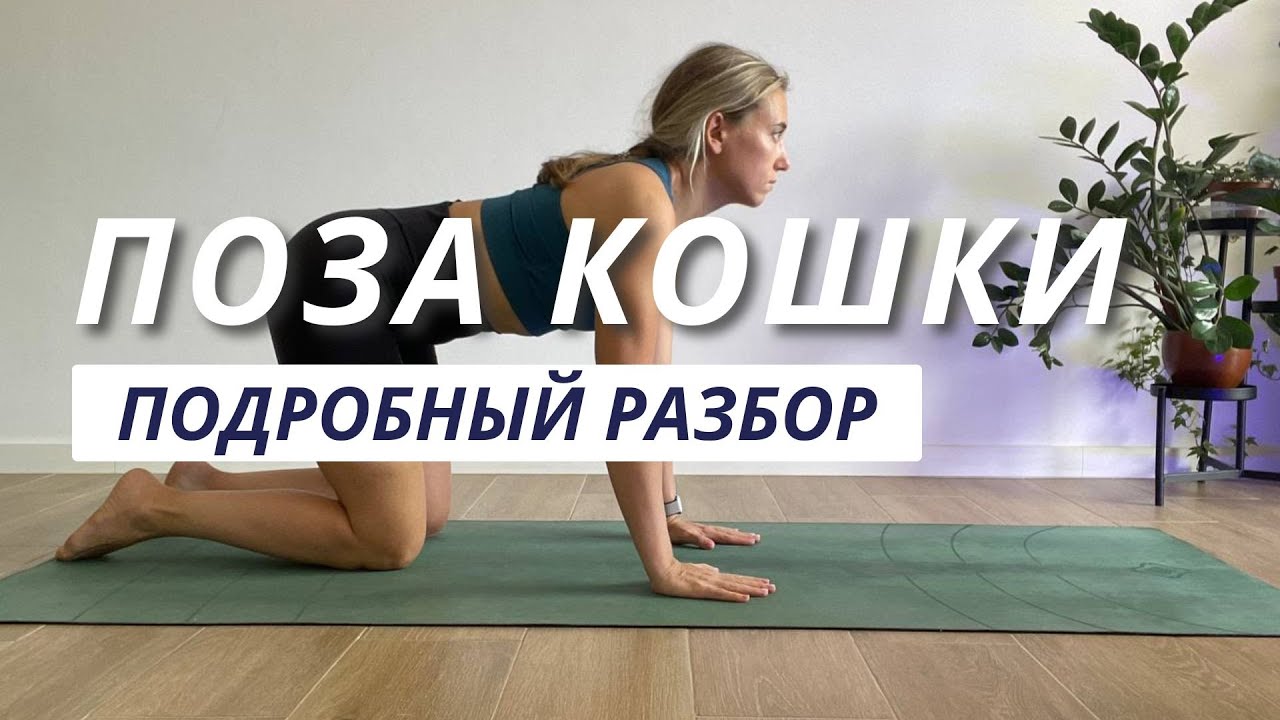 Поза кошки марджариасана | Как правильно делать кошку | Эффективное упражнение для спины