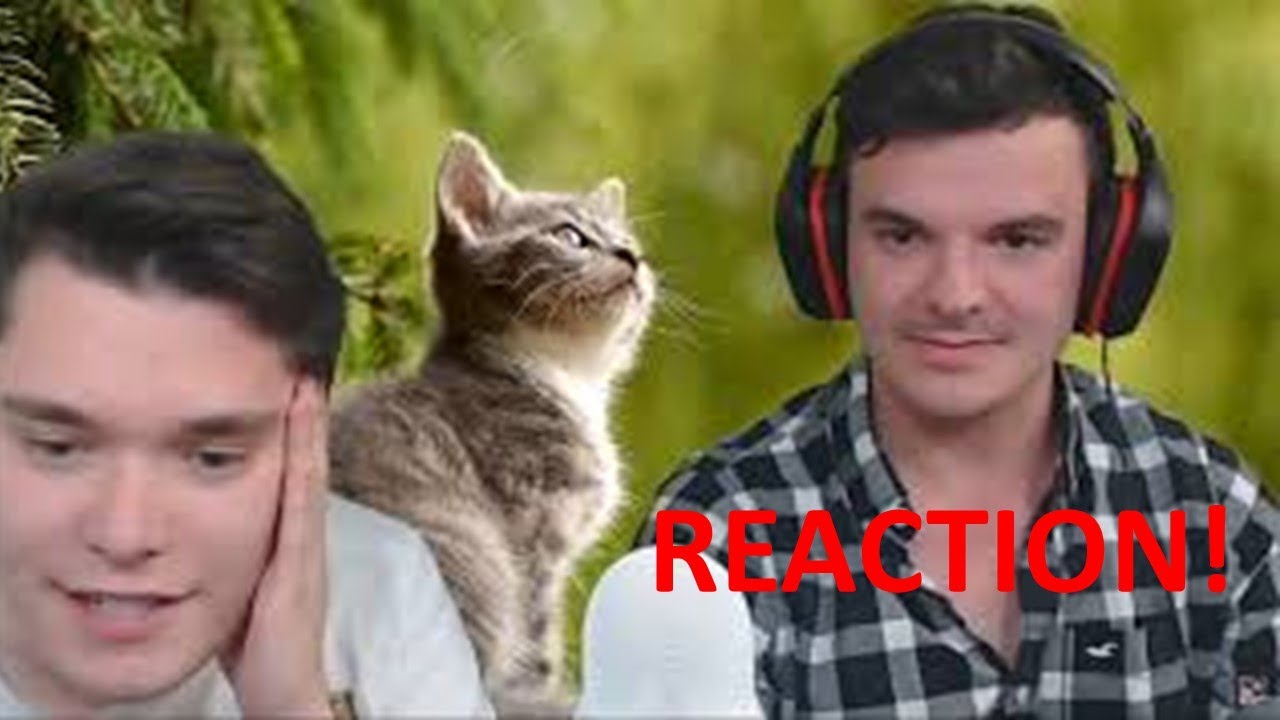 Gewitter im Kopf reagiert auf WENN ich DU WÄRE.. DISSTRACK gegen GEWITTER IM KOPF!