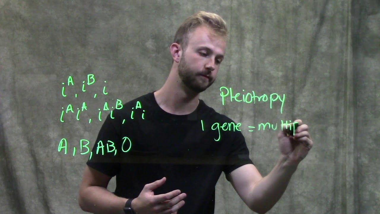 Other Factors Influencing Inheritance of Another Gene / Pleiotropy