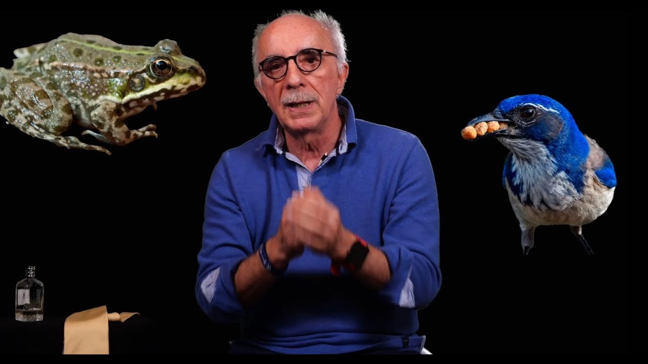 Il Mistero del Linguaggio