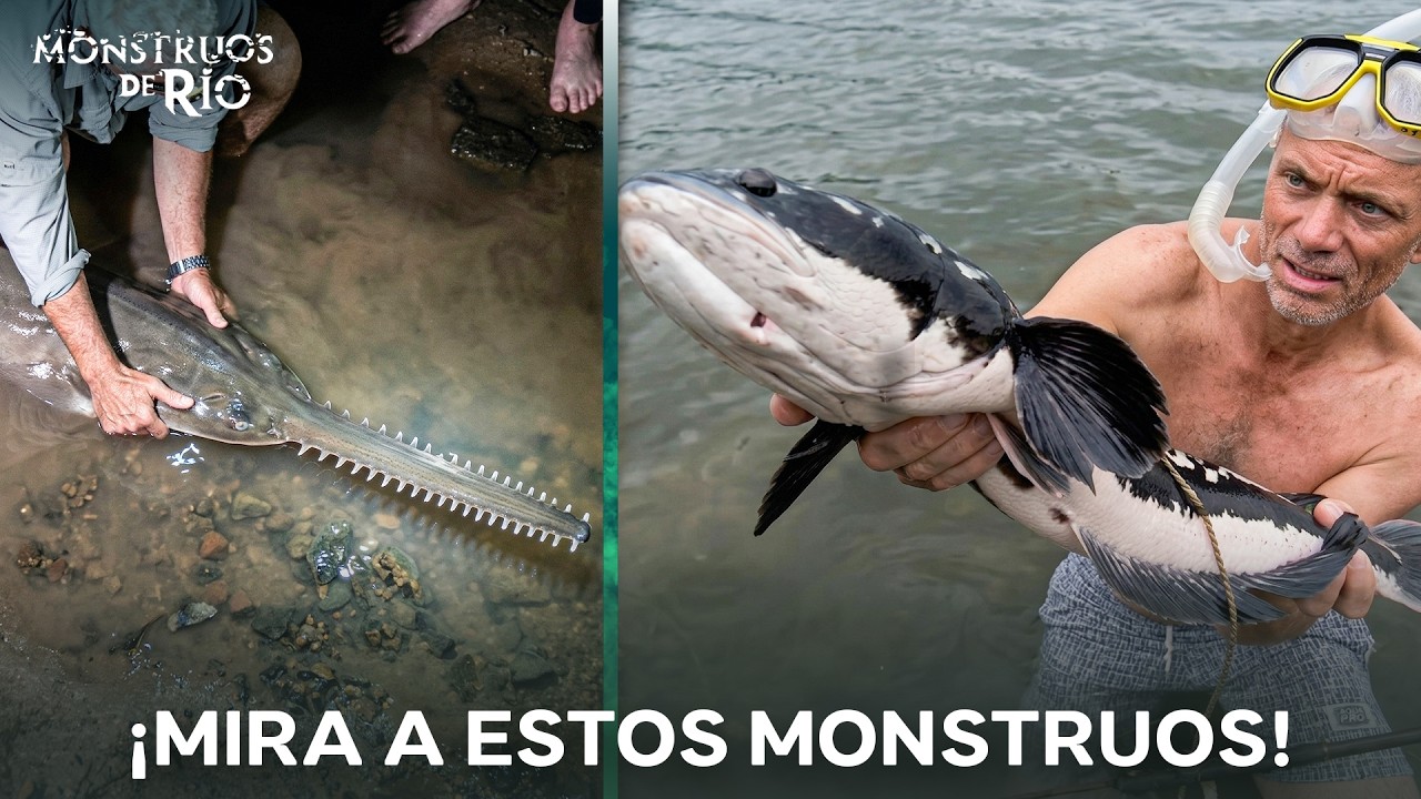Los Mejores Momentos De Pesca En Alta Mar | Monstruos de R&iacute;o