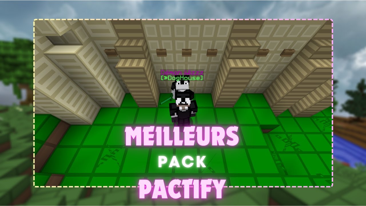 PACTIFY | ⚔️ les 15 MEILLEURS PACKS pour jouer à PACTIFY #1
