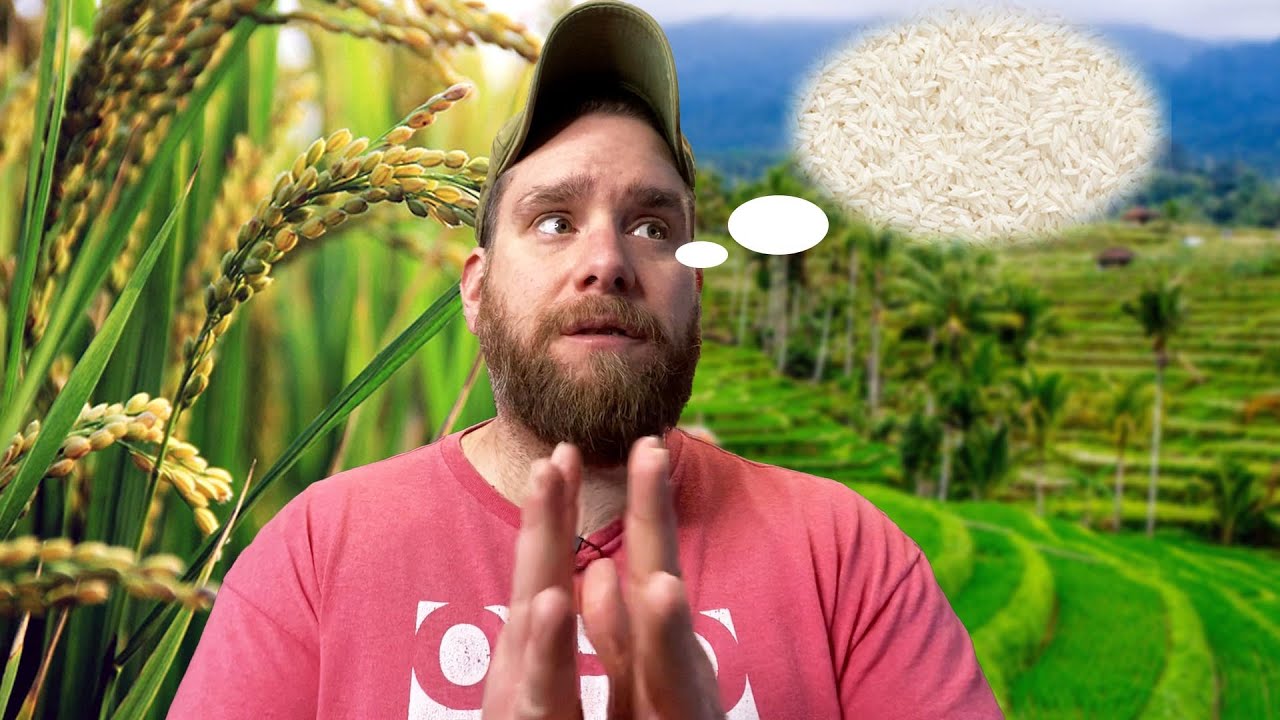 RICE DIET UPDATE after doing it for 3 WEEKS!!!