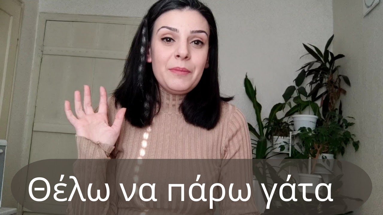 Τι χρειάζεται μία γάτα. Είναι εύκολο να ζωάκι στο σπίτι?
