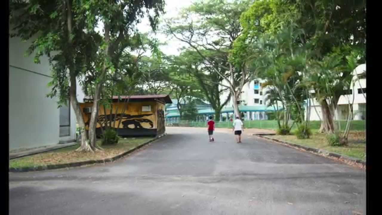 Westlake Primary School & Braddell-Westlake Secondary School