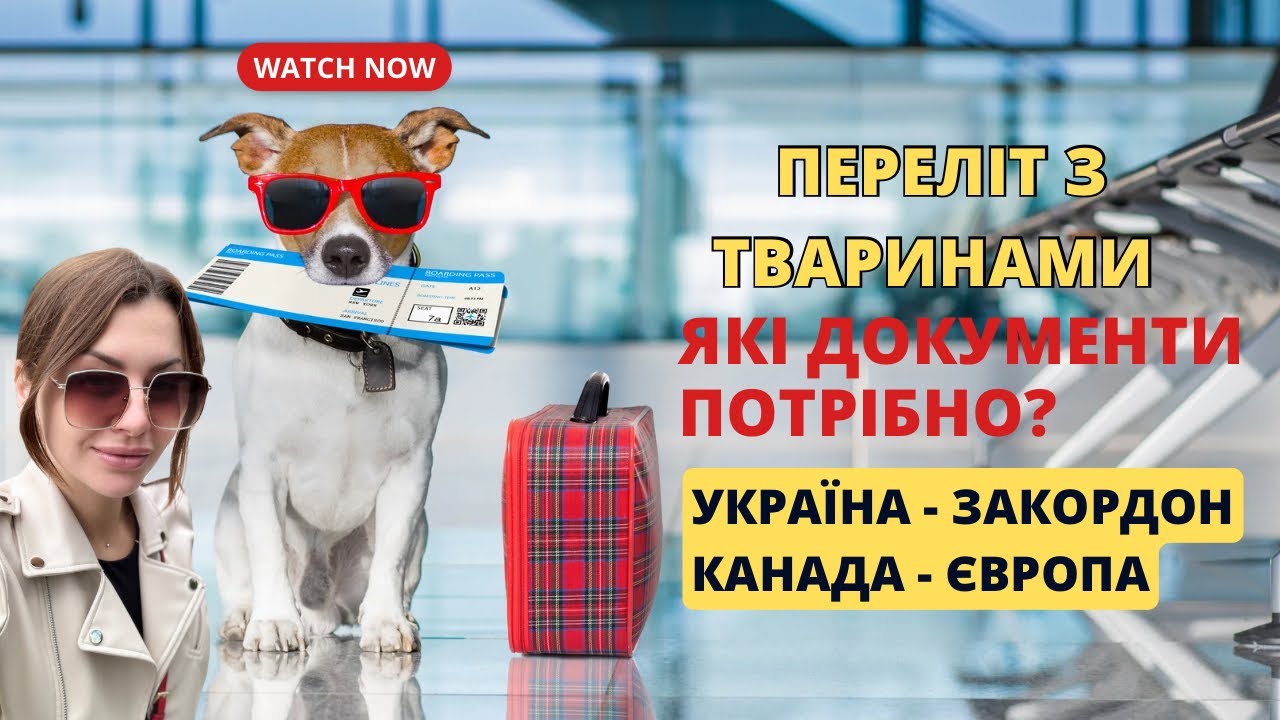 Переліт з собакою в Канаду: Україна - Канада - США. Які документи потрібні