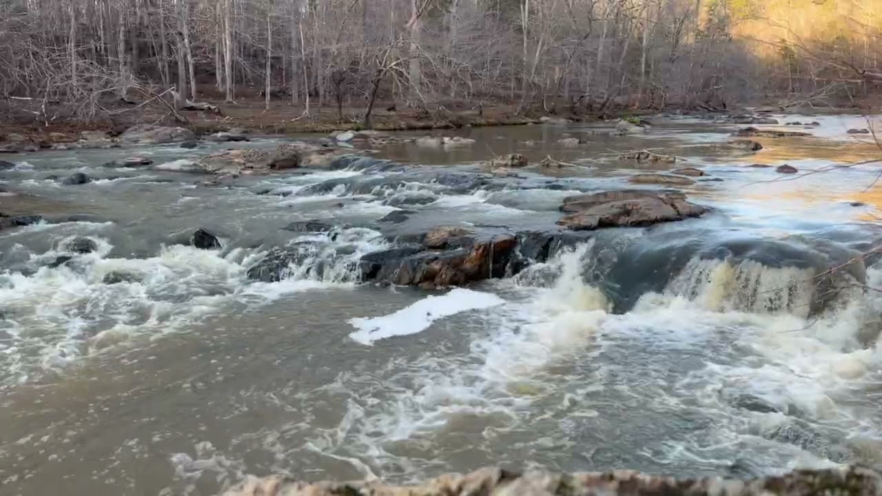 4K River Where Streams Merge | Authentic Nature Soundscape