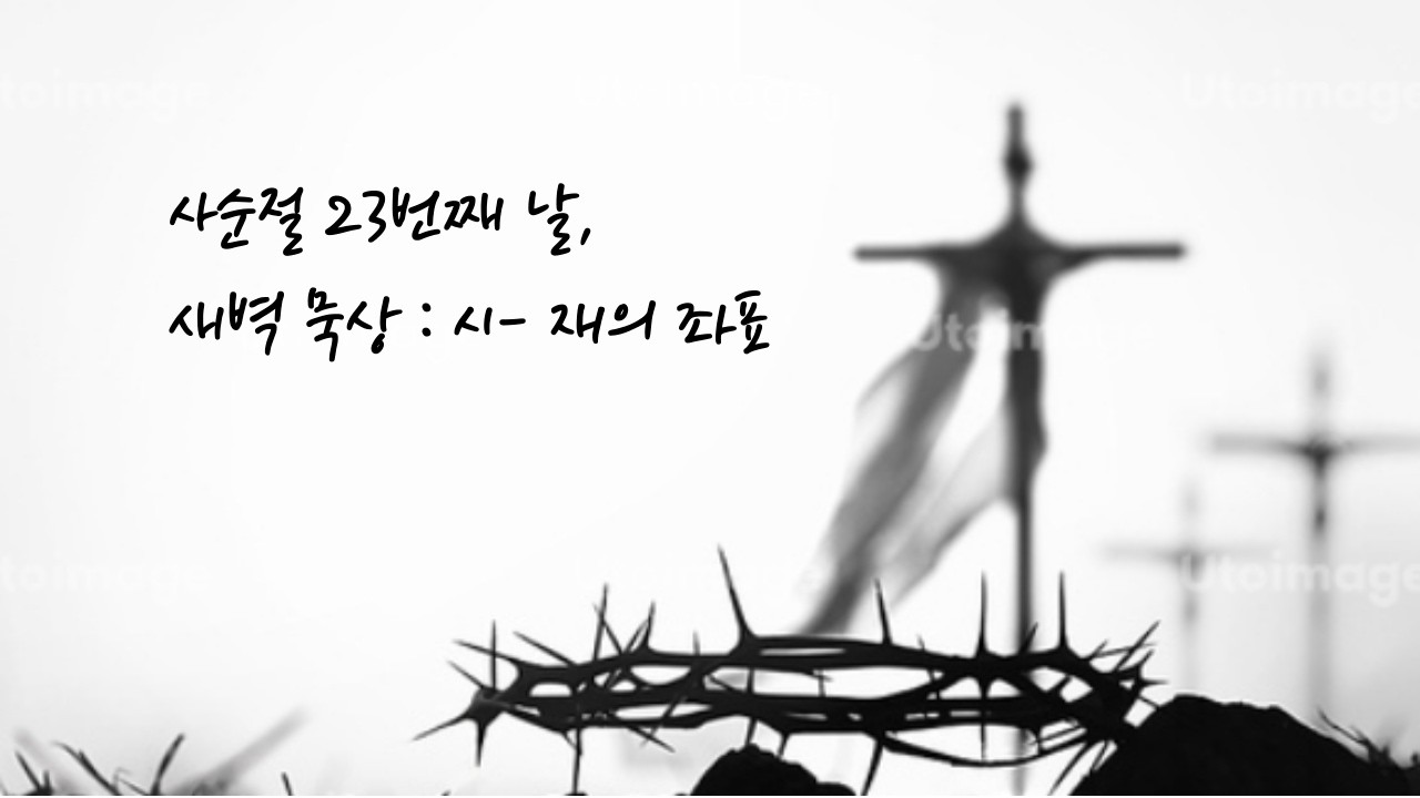 사순절 새벽 묵상 - 재의 좌표!