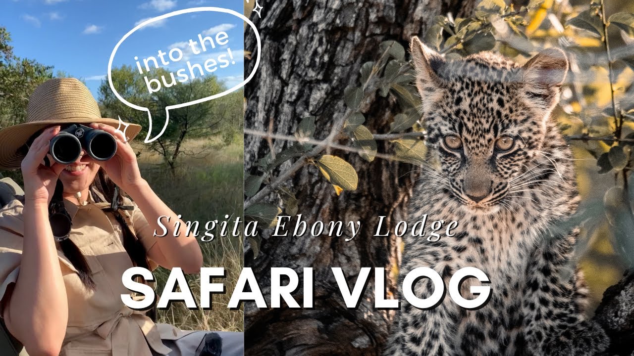 Singita Ebony Lodge, the best safari ever!🐆 Leopard was sneaking up on us😱