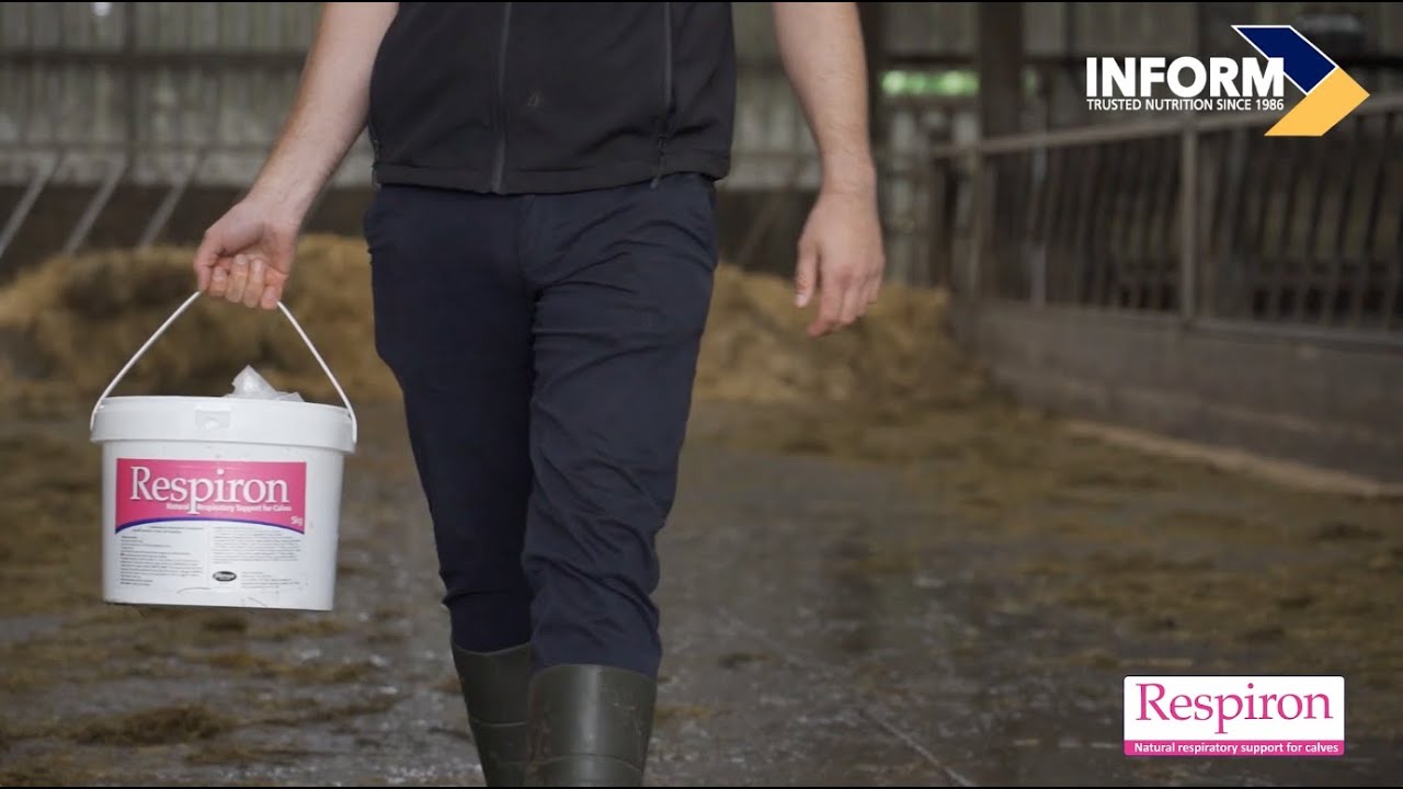 Features and Benefits of Respiron - Natural Respiratory Support for Calves